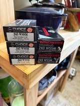 Ammo - 1 of 1