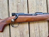 Winchester Model 70 Pre 64 Sightless - 6 of 14