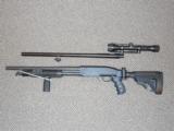 BLACK ACES TACTICAL SSP 12-GAUGE SHOTGUN WITH ONE or TWO BARRELS AND MAGAZINE FED WITH FOLDING STOCK - 1 of 5