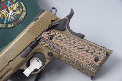 SPECIAL DEAL...KIMBER 1911 DESERT WARRIOR .CLASSIC 45 ACP PISTOL FINISHED IN FDE - - Image 2 of 10