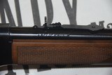 HENRY LEVER-ACTION MARE