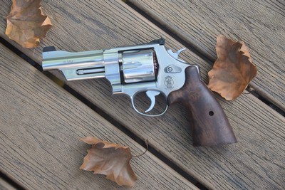 S&W MODEL 610 MOUNTAIN GUN