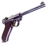 Swiss Police 1906 Cross in Shield Luger, 7.65 with 4 3/4 inch barrel - 11 of 13