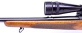 Winchester pre-64 Model 243 with 24 inch barrel & Redfield scope. - 13 of 19