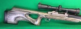 Tricked out Ruger mini-14 - 6 of 6