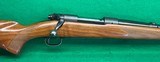 Pre-64 model 70 in scarce 257 Roberts. - 1 of 12