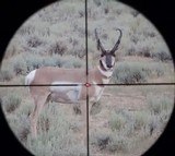 Model 70 from 1951 in 270 with high end Leupold Red dot scope. - 3 of 10