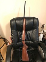 CZ 527 American 17 hornet - 3 of 4