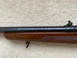 Pre-64 Model 70 300 Win Mag - 8 of 9