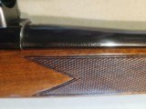 Sako L57 Forrester 243 Winchester - 11 of 15