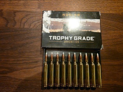Nosler Trophy Grade 264 Winchester Magnum 130 Grain Accubond