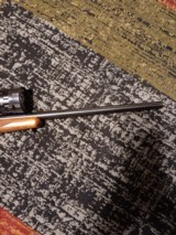 Ruger #1 220 Swift - 6 of 9