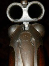 Colt 1883 Hammerless 12g
28" Double Barrel
CIRCA
1892
ANTIQUE - 6 of 13