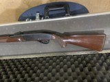 Remington nylon 66 22LR - 1 of 4
