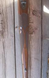 Winchester Model 70 XTR 6.5x55 Featherweight
- 6 of 11