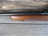 Winchester Model 70 Pre 64 257 Roberts - 7 of 7