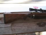 Ruger 77/17 in 17HMR - 2 of 7