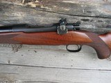 Winchester Pre War Super Grade - 6 of 10