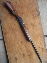 Browning A-5 12 Gauge Magnum - 14 of 14