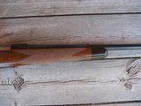 Winchester Model 70 Custom Stock 243 - 6 of 11