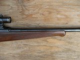 Mauser Custom Rifle 7X57 With Claw Mounts - 10 of 13