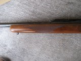 Ruger-#1 22-250 - 11 of 13