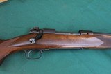 Winchester model 70 264 NEW - 2 of 13