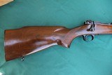 Winchester model 70 264 NEW - 1 of 13