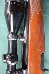 Steyr 6mm Remington - 9 of 13