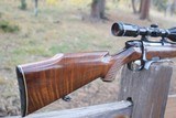Steyr 6mm Remington