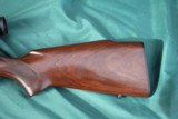 Winchester model 70 Pre 64 243 - 6 of 11