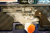 Colt Python Engraved 357Mag 6" NIB - 2 of 9
