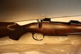 CZ 550 Safari Magnum 458Lott Fancy Grade NIB - 2 of 12