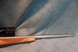 Custom Ruger 77/22 17 Ackley Hornet - 8 of 8