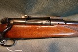 Winchester Pre 64 Model 70 243Win Featherweight - 7 of 10
