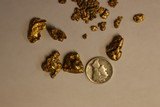 Alaska Placer Gold, Bering Sea,Nome - 6 of 6