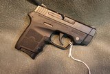 S+W Bodyguard 380 with laser - 3 of 4