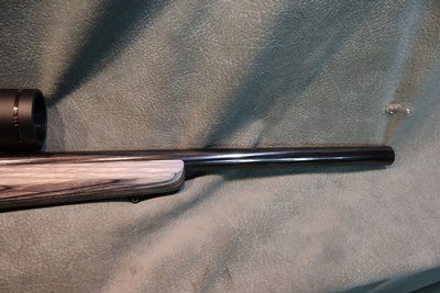 Ruger 10/22 Target 22