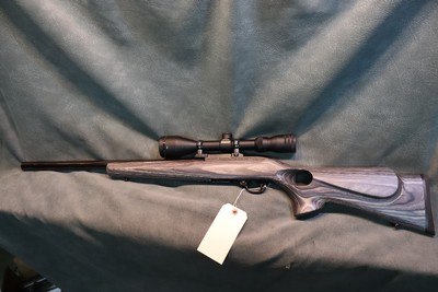Ruger 10/22 Target 22