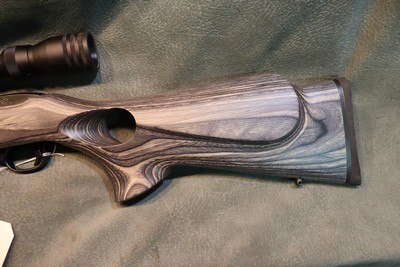 Ruger 10/22 Target 22