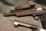 IMI Desert Eagle 44Mag 10