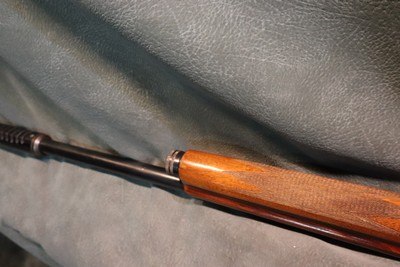 Belgium Browning Auto 5,12ga 28