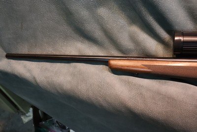Winchester Model 70 Classic Sporter 25-06 24
