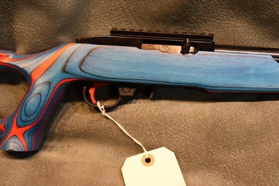 Ruger 10/22 22LR USA Shooting Limited Edition - Image 2 of 8