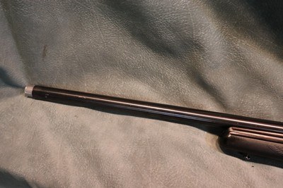 Tikka T3 Varmint 22-250 w/Nikon scope - Image 8 of 8