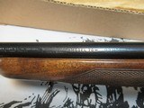 Winchester Model 70 22 Hornet NIB - 14 of 15