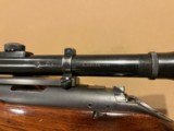 Winchester 52 Sporter 1949 - 15 of 15