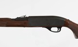 Remington Nylon 66 22lr - 9 of 15
