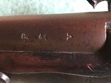 1795 US Springfield 69 caliber converted to percussion - 2 of 11
