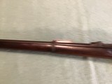 US Springfield Model 1873 45-70 caliber army rifle - 15 of 15